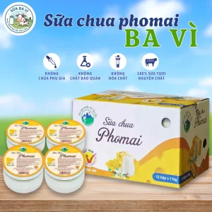 Sữa chua Ba Vì Phomai (Hũ 110g) 1 sữa chua ba vì vị phomai 100g