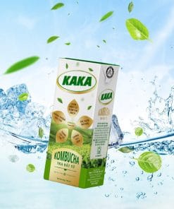 Trà bất tử Kombucha